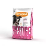 Cennamo Prestige Adult Medium SVINJINA, za odrasle pse