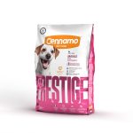 Cennamo Prestige Adult Mini SVINJINA, za odrasle pse